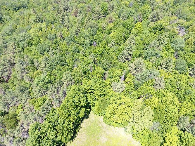 2 Massey Road Springfield, VT 05156 - Photo 2 of 16