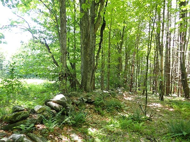 2 Massey Road Springfield, VT 05156 - Photo 4 of 16