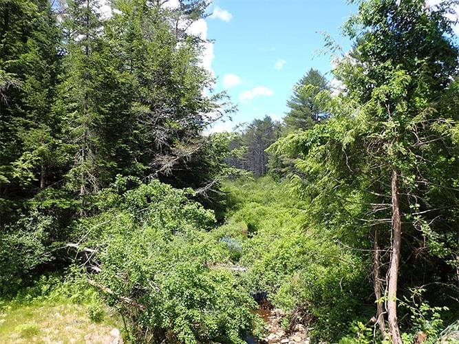 2 Massey Road Springfield, VT 05156 - Photo 8 of 16