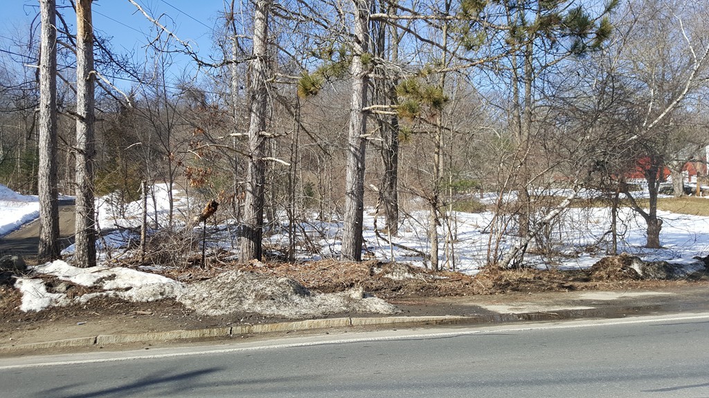 176 Farm Road Marlborough, MA 01752 - Photo 2 of 3 Gallery Image 2
