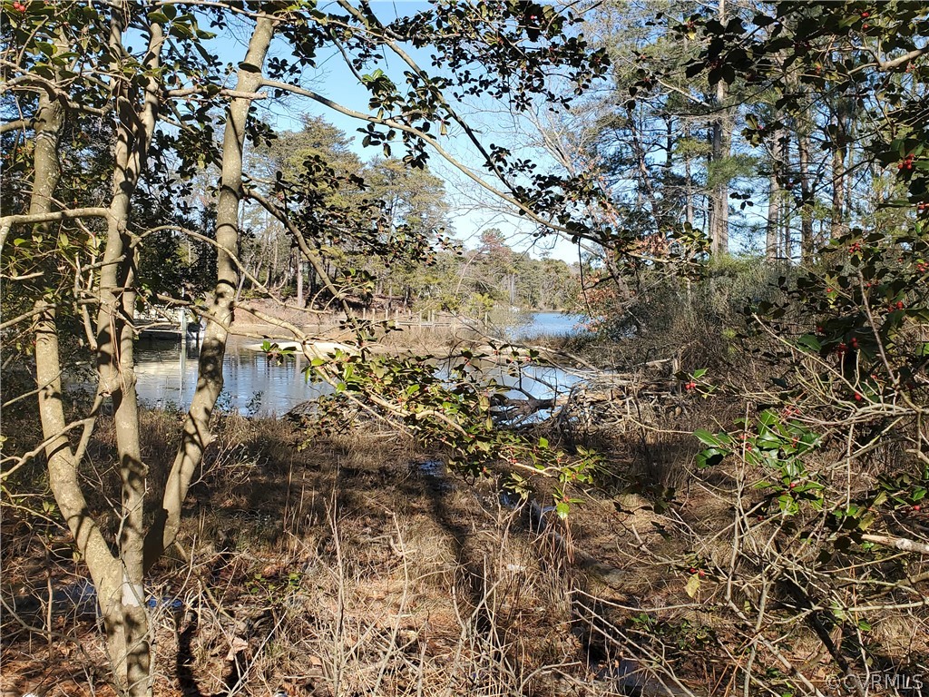 Xxx Xxx Ferry Road Heathsville, VA 22473 - Photo 2 of 22 Gallery Image 2