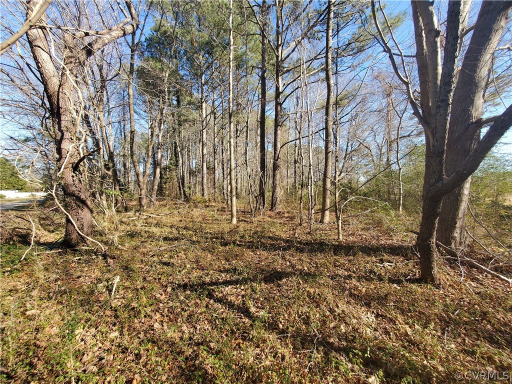 Xxx Xxx Ferry Road Heathsville, VA 22473 - Photo 5 of 22 Gallery Image 5