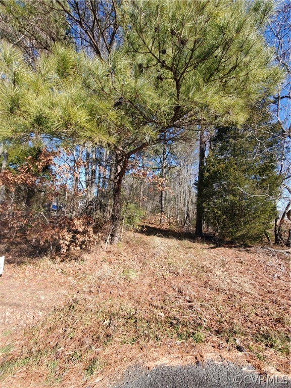 Xxx Xxx Ferry Road Heathsville, VA 22473 - Photo 6 of 22 Gallery Image 6