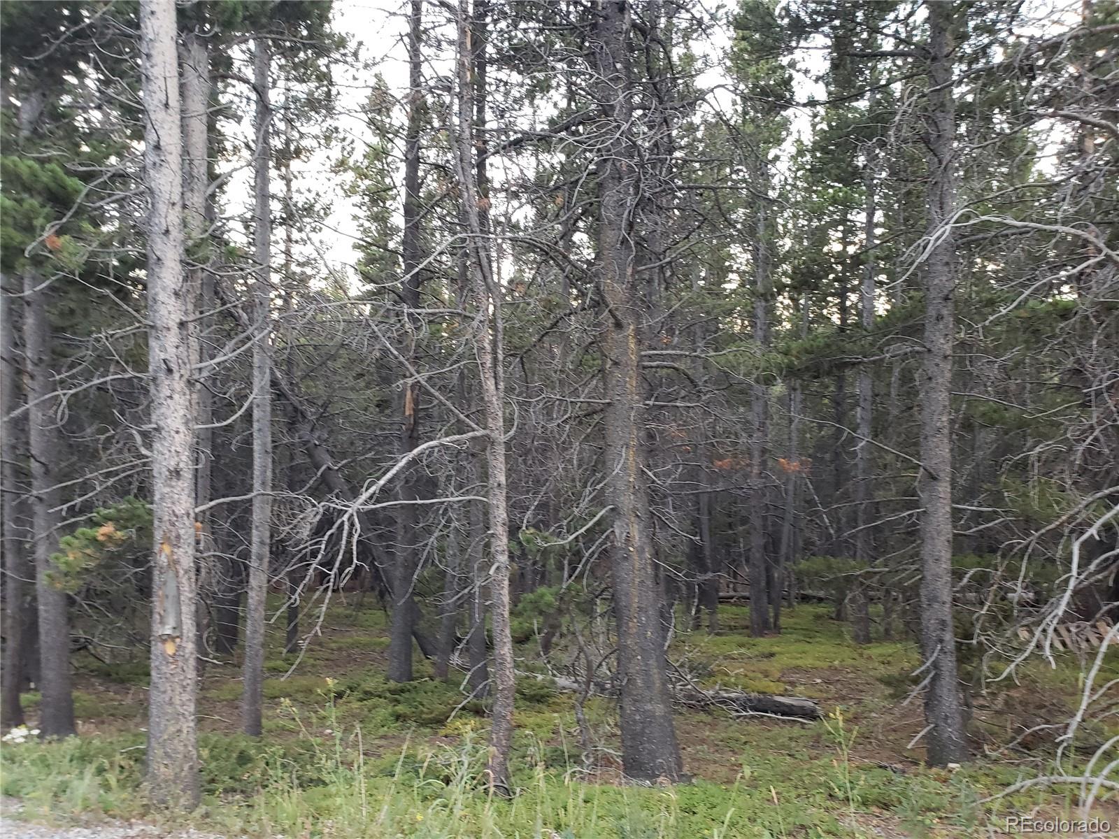 Lot 657 Alice Road Idaho Springs, CO 80452 - Photo 1 of 5 Gallery Image 1