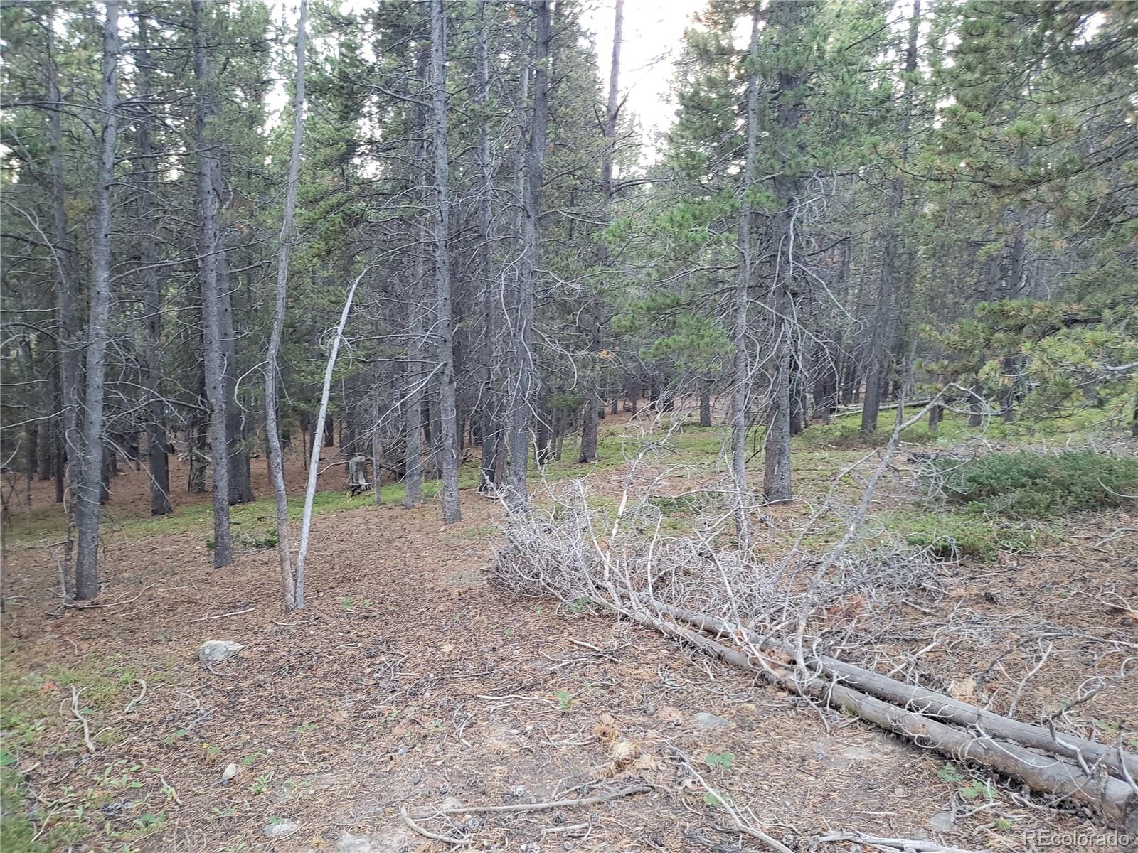 Lot 657 Alice Road Idaho Springs, CO 80452 - Photo 2 of 5 Gallery Image 2