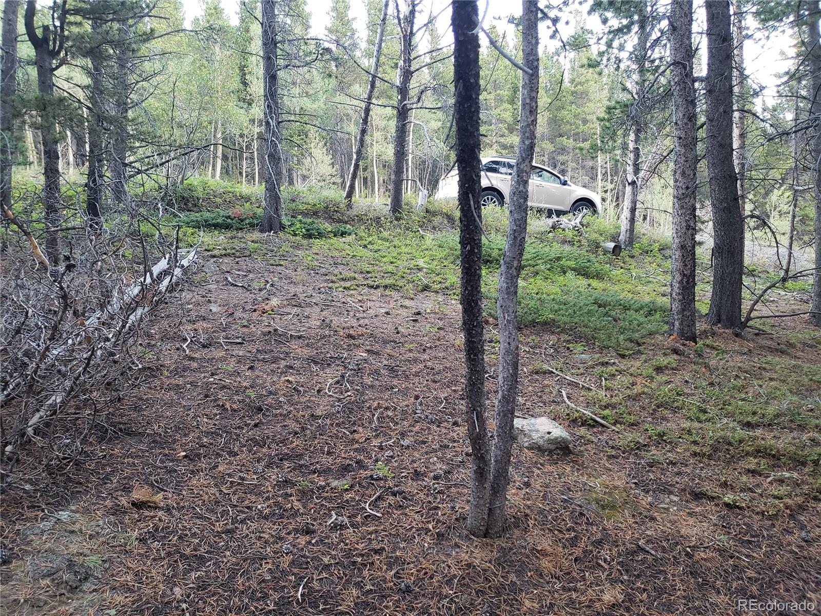 Lot 657 Alice Road Idaho Springs, CO 80452 - Photo 3 of 5 Gallery Image 3