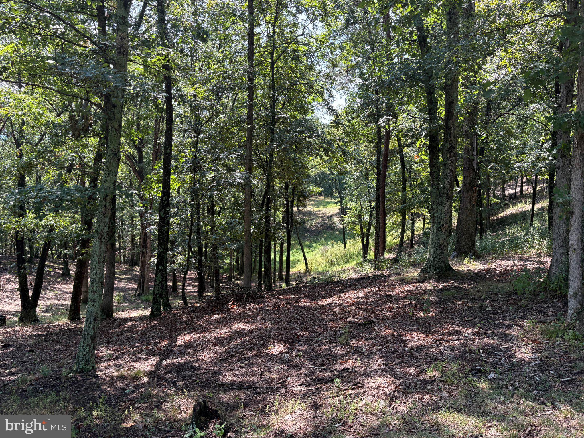 1433 Ed Welsh Road Burlington, WV 26710 - Photo 17 of 38 Gallery Image 17