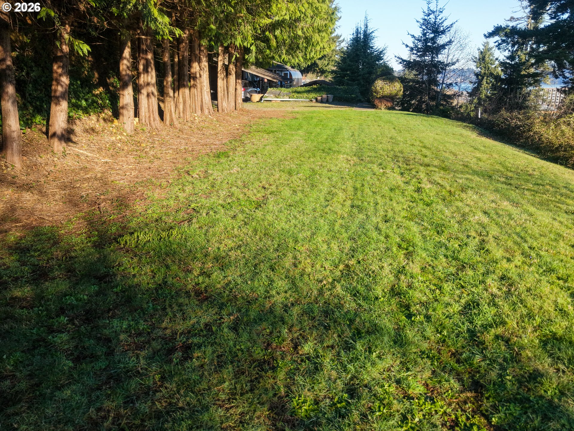 353 O'Connell Street North Bend, OR 97459 - Photo 4 of 17