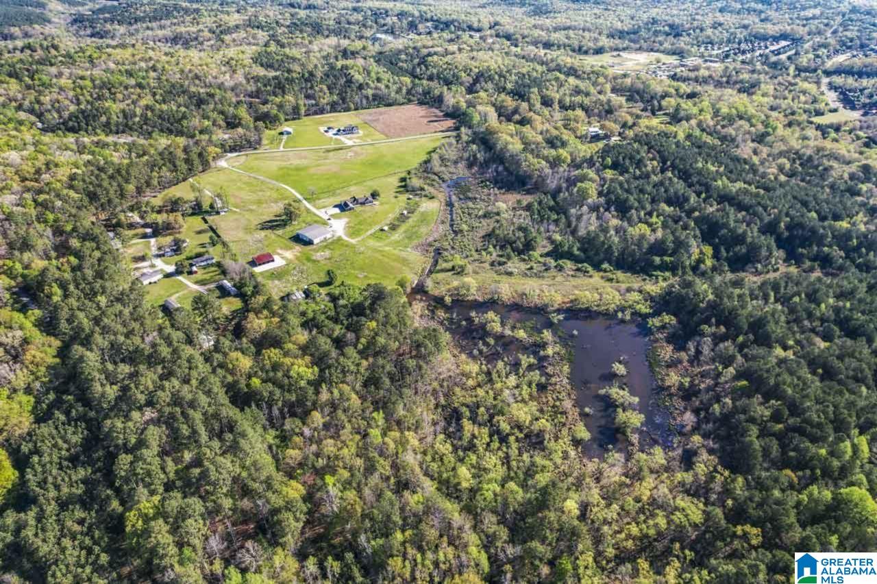 535 Fox Valley Farms Road Alabaster, AL 35114 - Photo 32 of 52