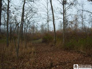 Falconer Frewsburg Road Frewsburg, NY 14738 - Photo 1 of 1 Gallery Image 1