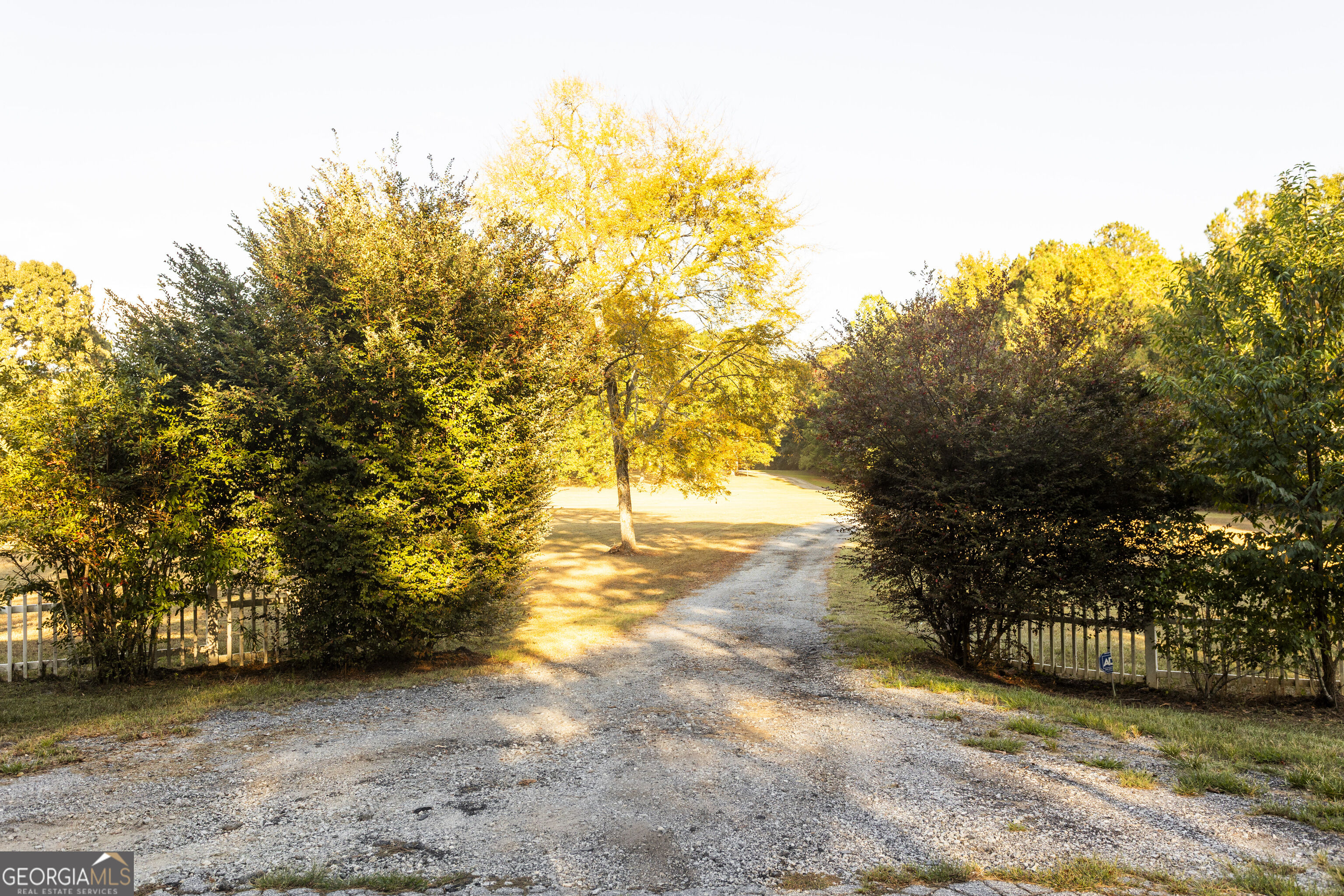 1650 Pierce Dairy Road Madison, GA 30650 - Photo 4 of 128 Gallery Image 4