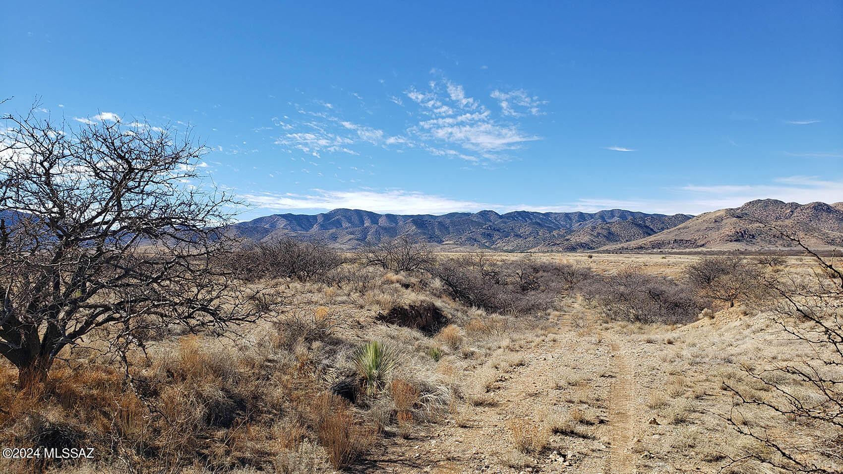 2-acres South Middlemarch Road, Unit 10 Pearce, AZ 85625 - Photo 3 of 11