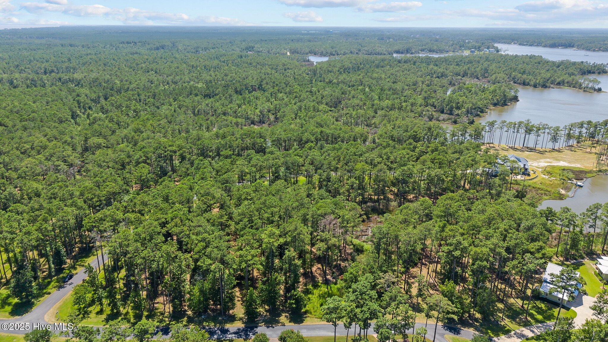 555 Homestead Road Oriental, NC 28571 - Photo 11 of 13 10-web-or-mls-DJI_20250630145738_0060_D