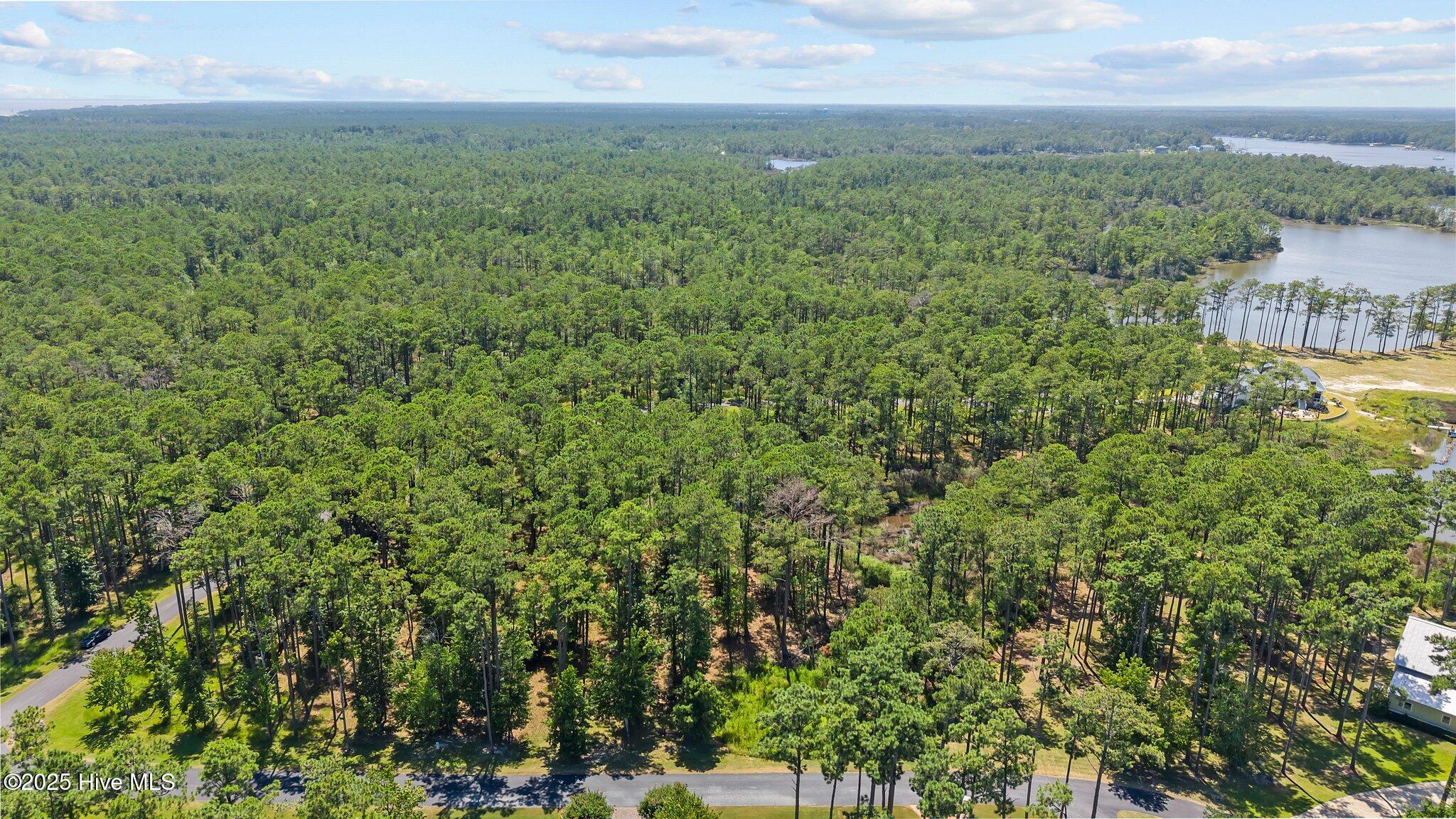 555 Homestead Road Oriental, NC 28571 - Photo 5 of 13 4-web-or-mls-DJI_20250630145511_0052_D