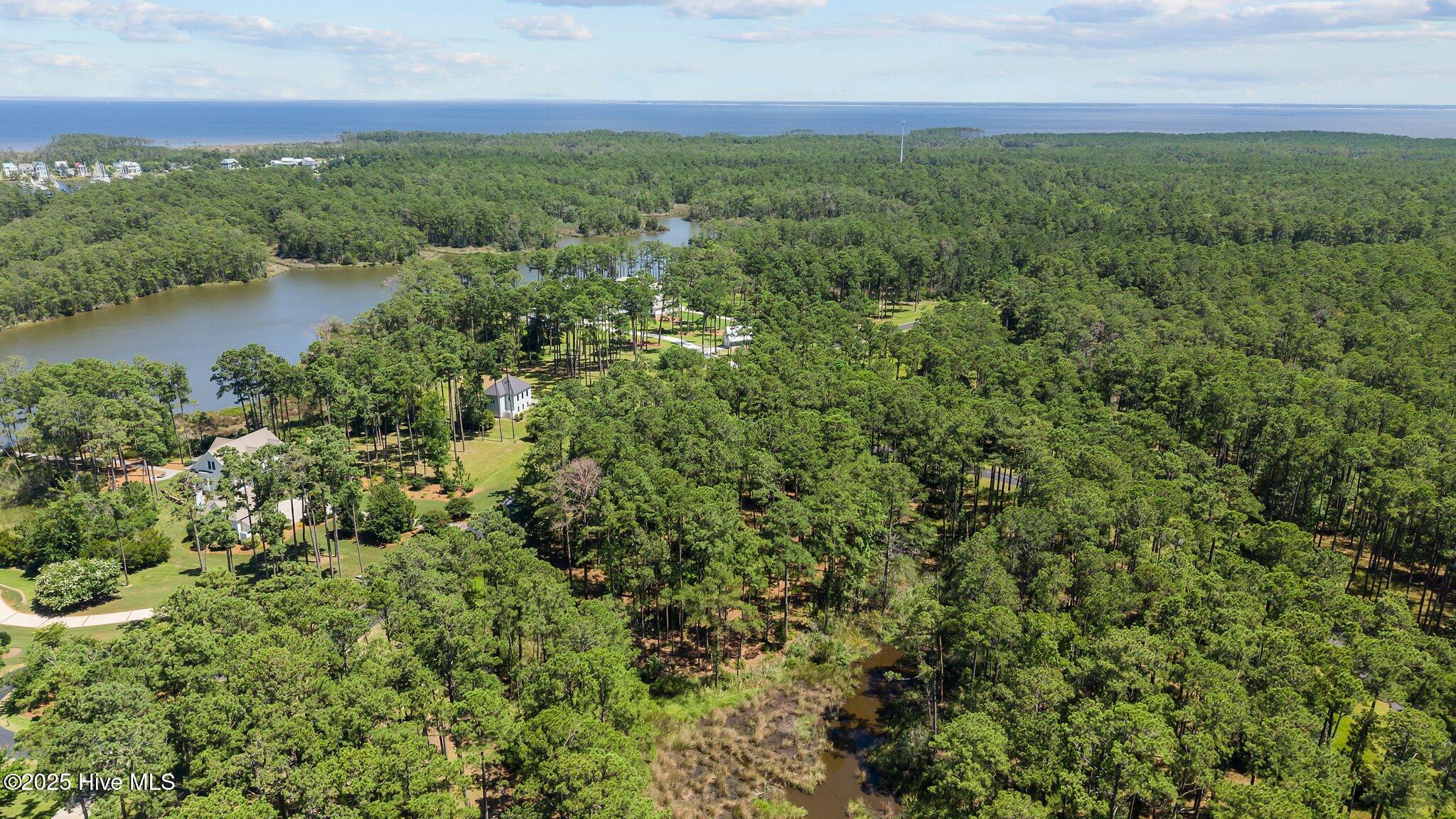 555 Homestead Road Oriental, NC 28571 - Photo 8 of 13 7-web-or-mls-DJI_20250630145616_0057_D