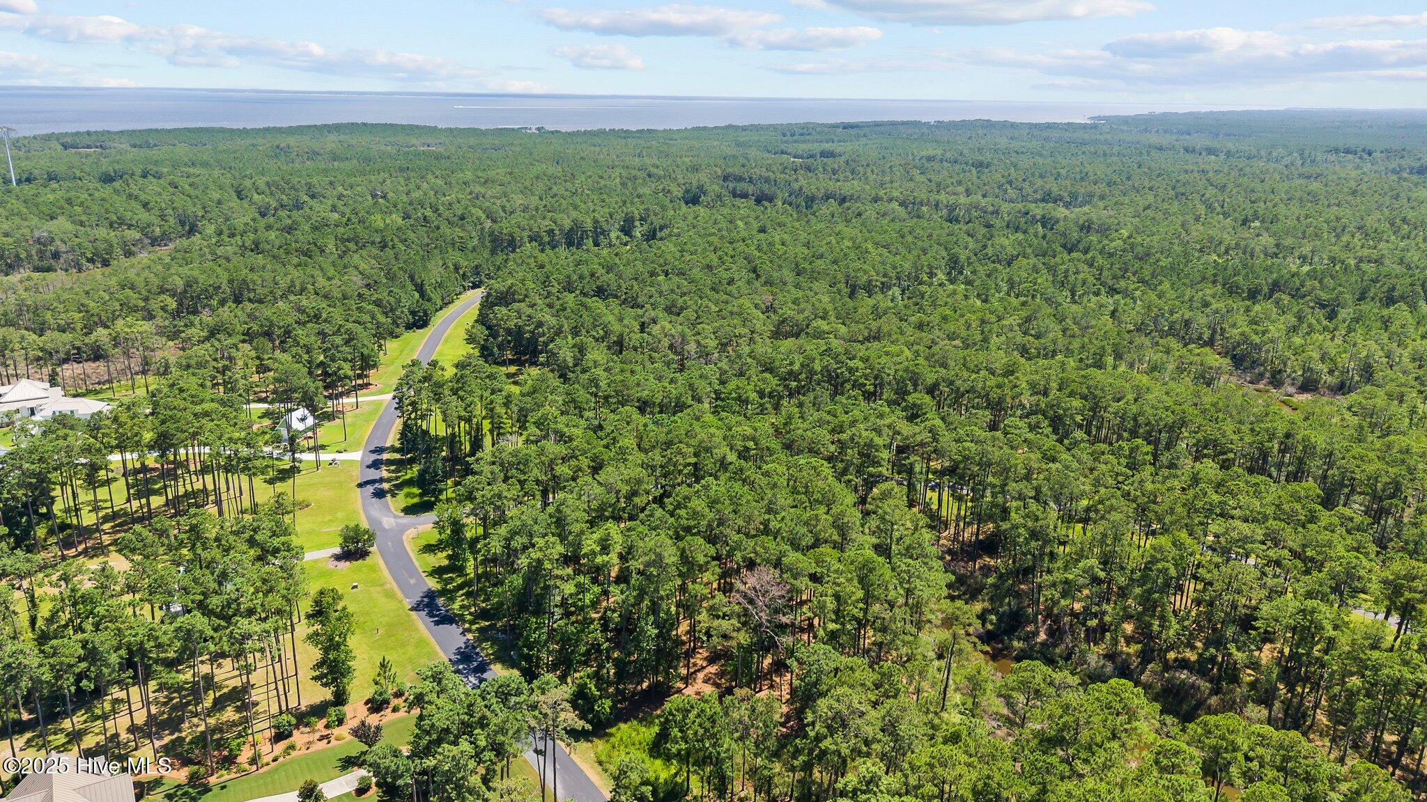 555 Homestead Road Oriental, NC 28571 - Photo 9 of 13 8-web-or-mls-DJI_20250630145632_0058_D