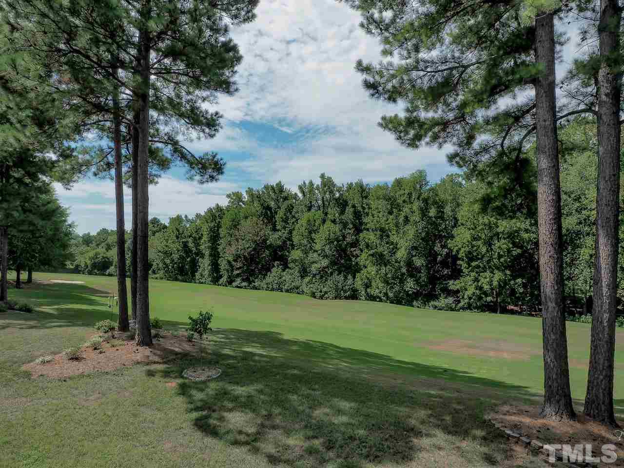 12237 Beestone Lane Raleigh, NC 27614 - Photo 22 of 26