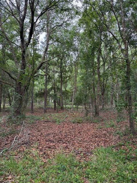 190 Catherine Street Bunnell, FL 32110 - Photo 4 of 5