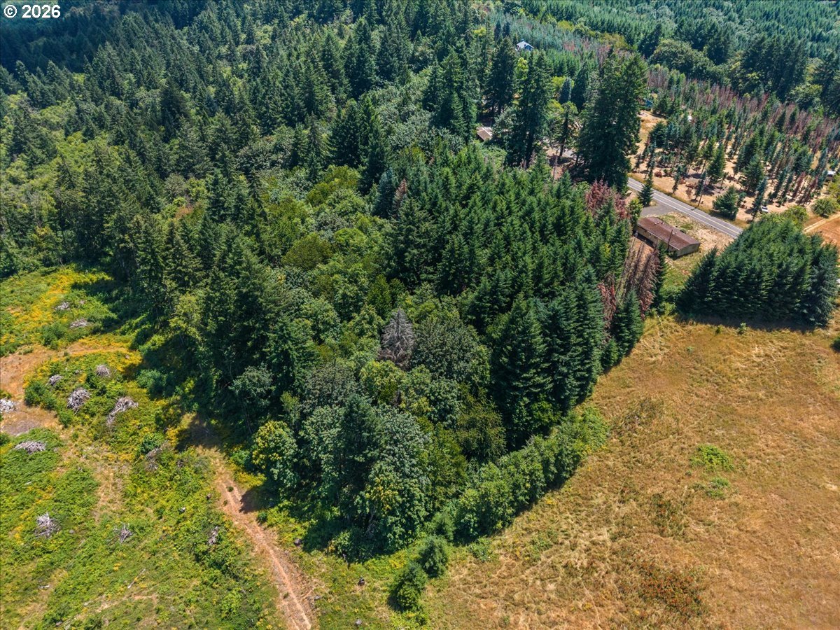 20802 Northwest Pumpkin Ridge Road North Plains, OR 97133 - Photo 4 of 18