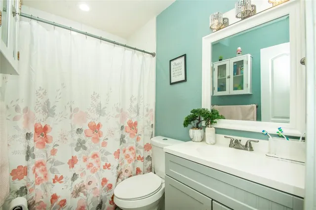 a bathroom with a sink a toilet and shower curtain