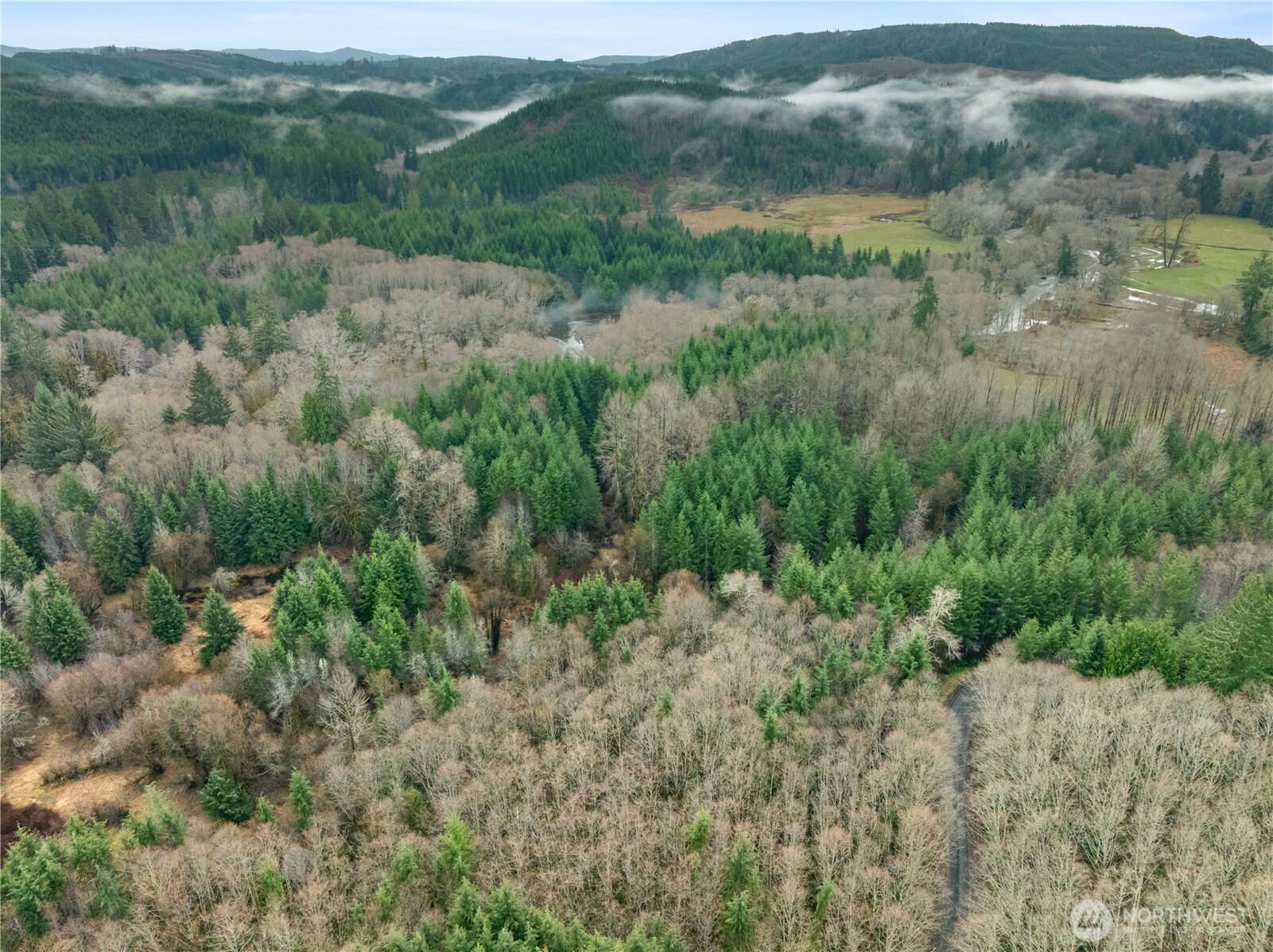 0 Fall River Road Cosmopolis, WA 98537 - Photo 4 of 10