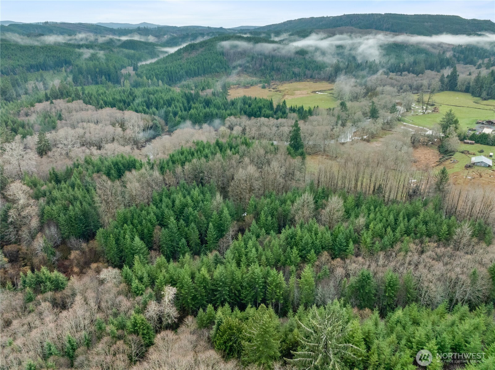 0 Fall River Road Cosmopolis, WA 98537 - Photo 5 of 10