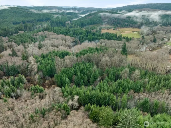 $300,000 | 0 Fall River Road, Cosmopolis, WA 98537