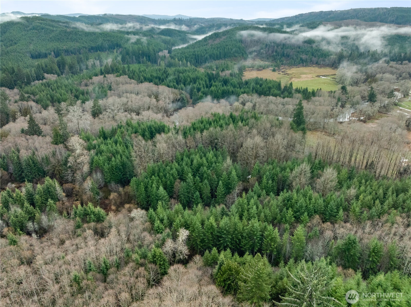 0 Fall River Road Cosmopolis, WA 98537 - Photo 6 of 10