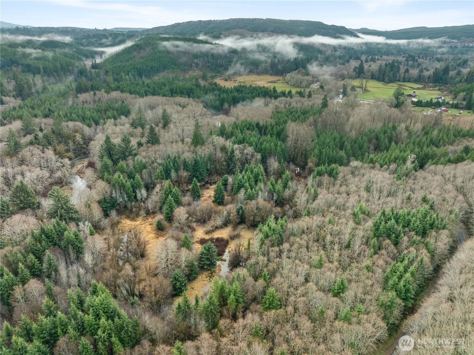 0 Fall River Road Cosmopolis, WA 98537 - Photo 8 of 10