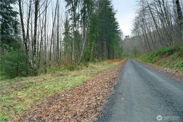 $300,000 | 0 Fall River Road, Cosmopolis, WA 98537
