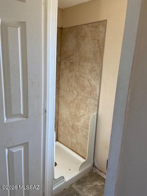 9290 South Avra Road Tucson, AZ 85736 - Photo 6 of 11 master bath
