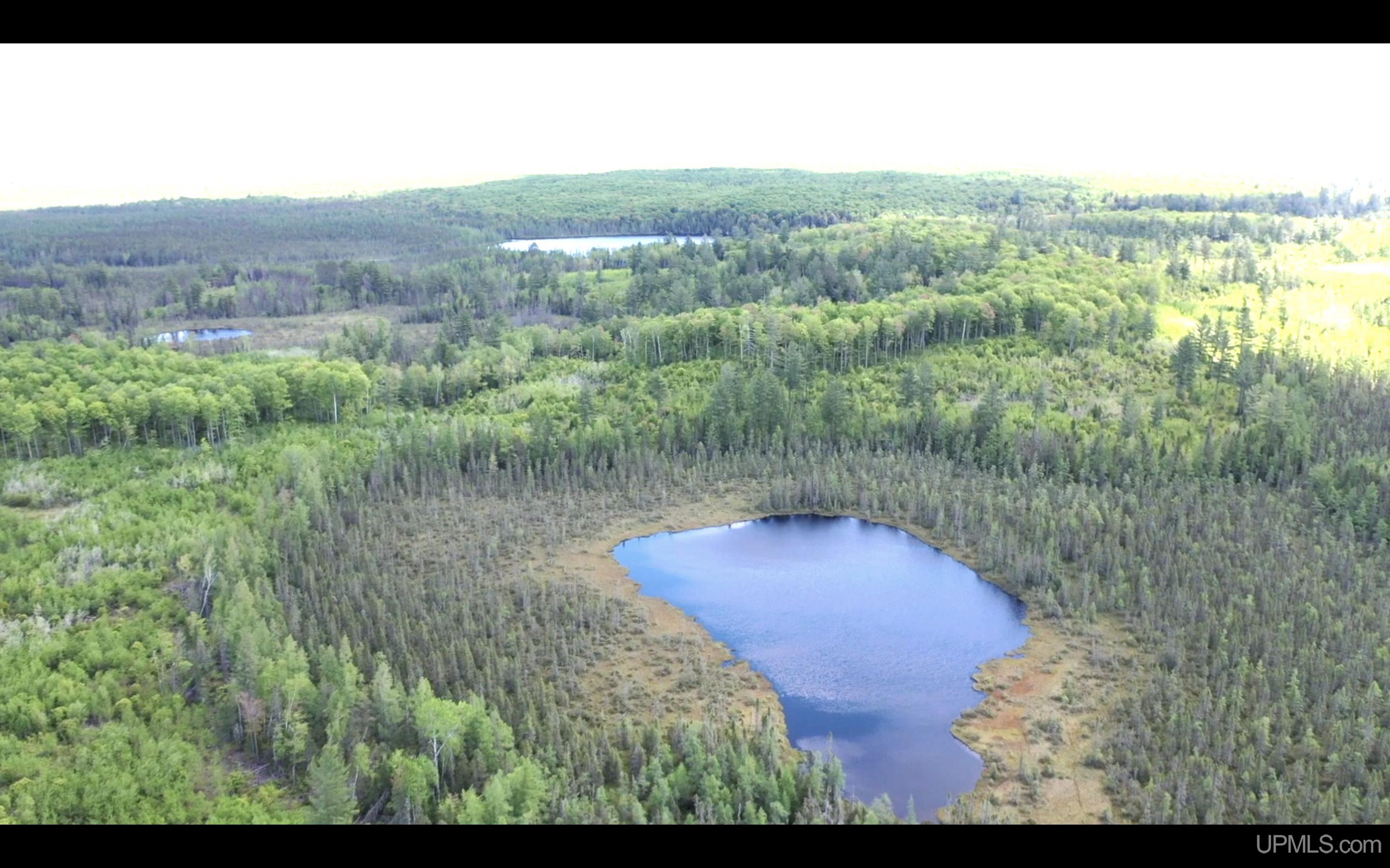 527 Usfs Road Iron River, MI 49935 - Photo 9 of 37