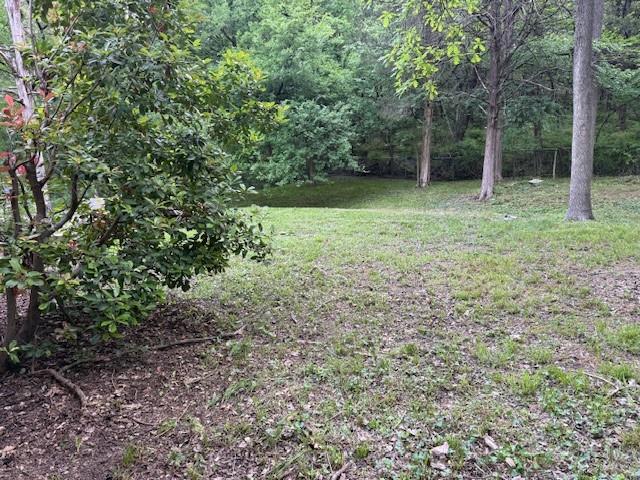 a big yard with lots of green space and deers