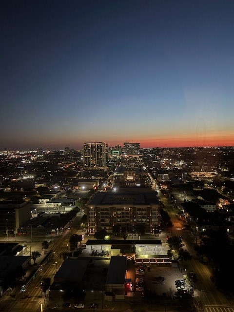 2016 Main Street, Unit 3 Houston, TX 77002 - Photo 35 of 36 Sunset