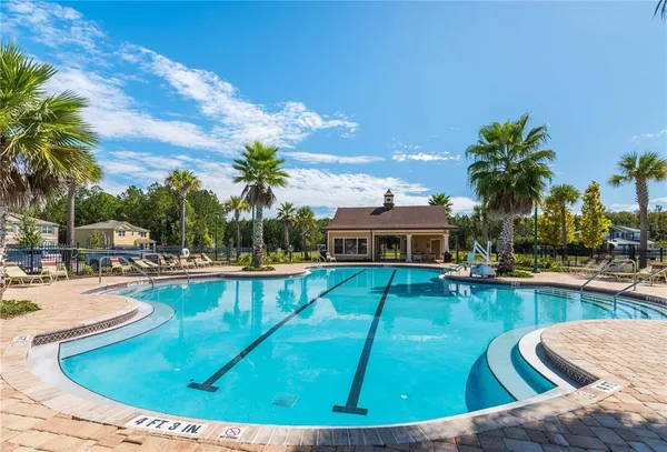 a view of a swimming pool with a lounge chair and palm trees