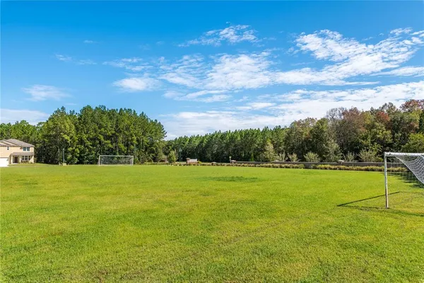 a view of a big yard with a large tree