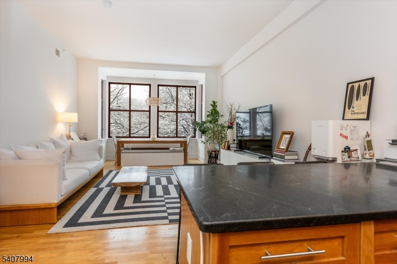 85 Park Avenue, Unit 205 Glen Ridge, NJ 07028 - Photo 19 of 37 a view of a living room and dining room