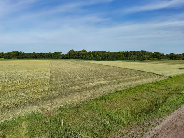 $119,000 | D2 397th Avenue, Frazee, MN 56544