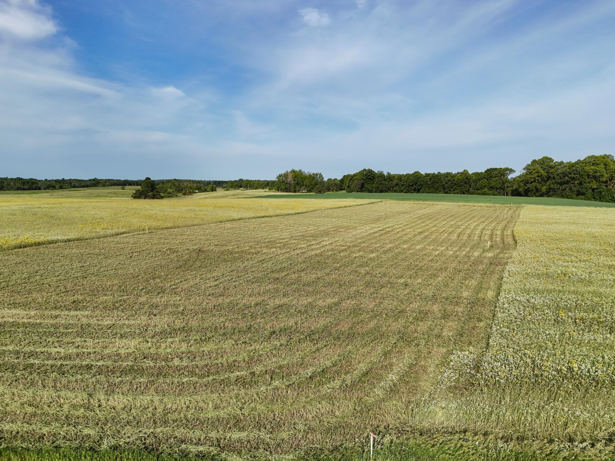 D2 397th Avenue Frazee, MN 56544 - Photo 4 of 9