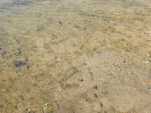 $119,000 | D2 397th Avenue, Frazee, MN 56544