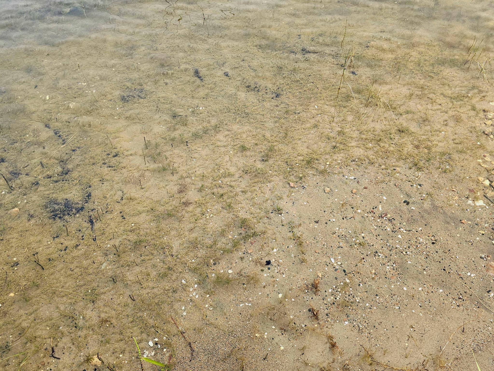 D2 397th Avenue Frazee, MN 56544 - Photo 7 of 9