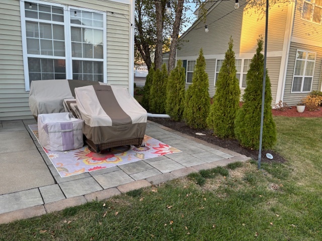 1433 White Pine Lane Bolingbrook, IL 60490 - Photo 23 of 25 a view of outdoor space yard and patio