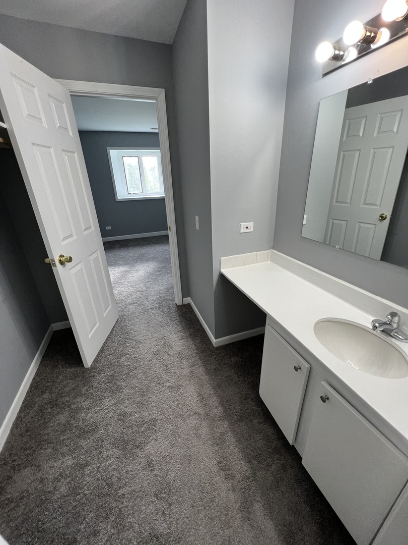 787 Wilson Avenue, Unit 10 Glen Ellyn, IL 60137 - Photo 14 of 26 a bathroom with a sink and a mirror