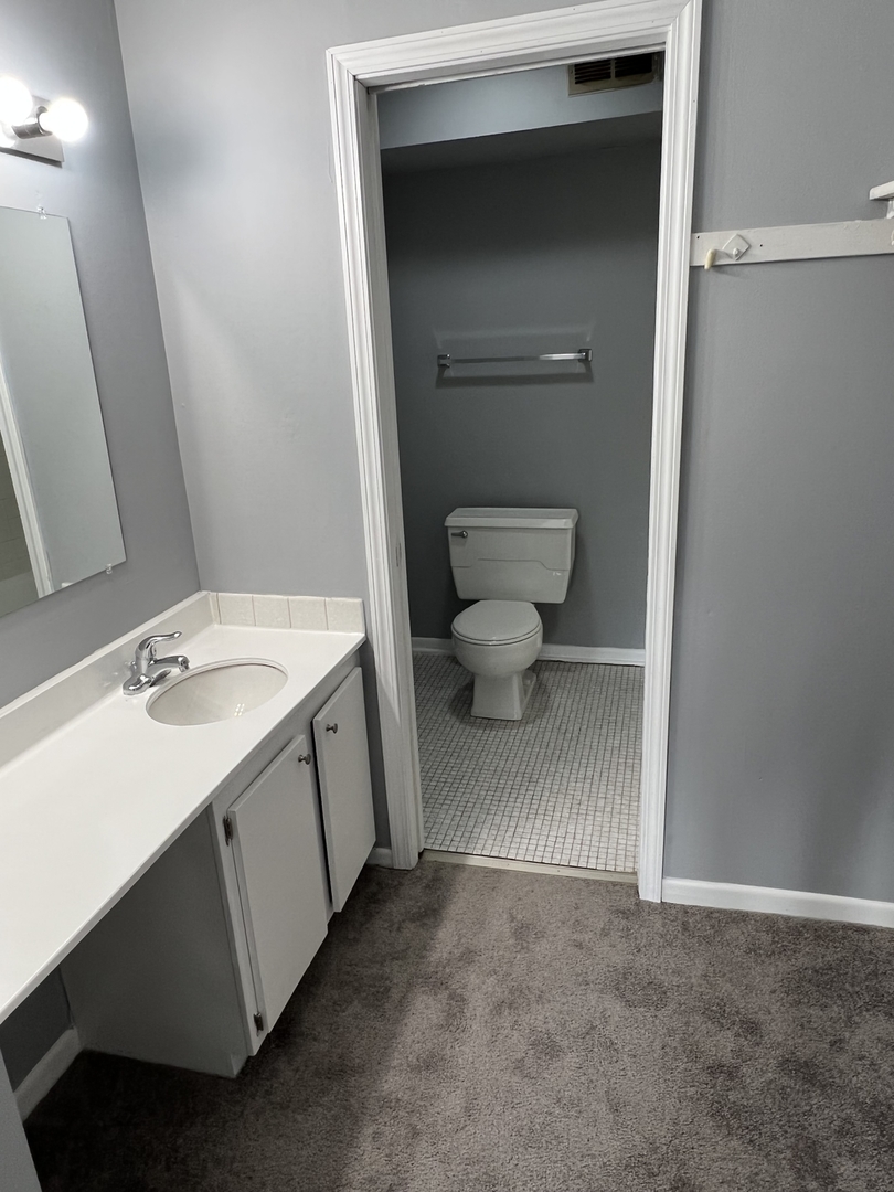 787 Wilson Avenue, Unit 10 Glen Ellyn, IL 60137 - Photo 16 of 26 a bathroom with a sink toilet and vanity