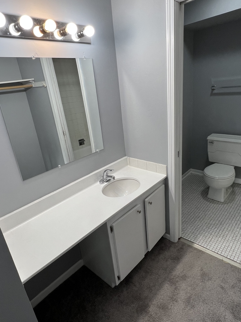 787 Wilson Avenue, Unit 10 Glen Ellyn, IL 60137 - Photo 17 of 26 a bathroom with a sink a toilet and mirror