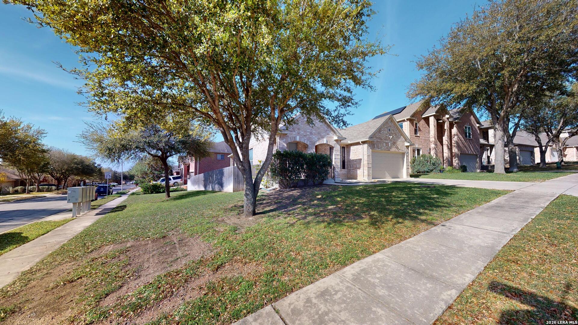 101 Springtree Cliff Cibolo, TX 78108 - Photo 2 of 46 a view of a yard with plants and trees
