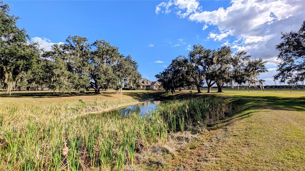 7053 George Marsh Road Zolfo Springs, FL 33890 - Photo 14 of 84