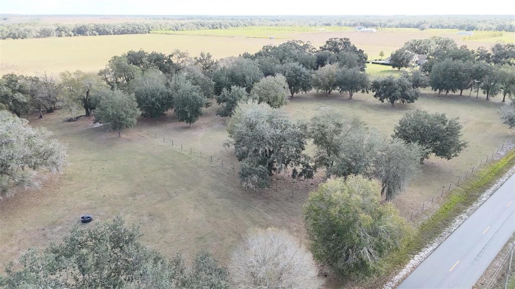 7053 George Marsh Road Zolfo Springs, FL 33890 - Photo 22 of 84 a view of a lake with trees in the background