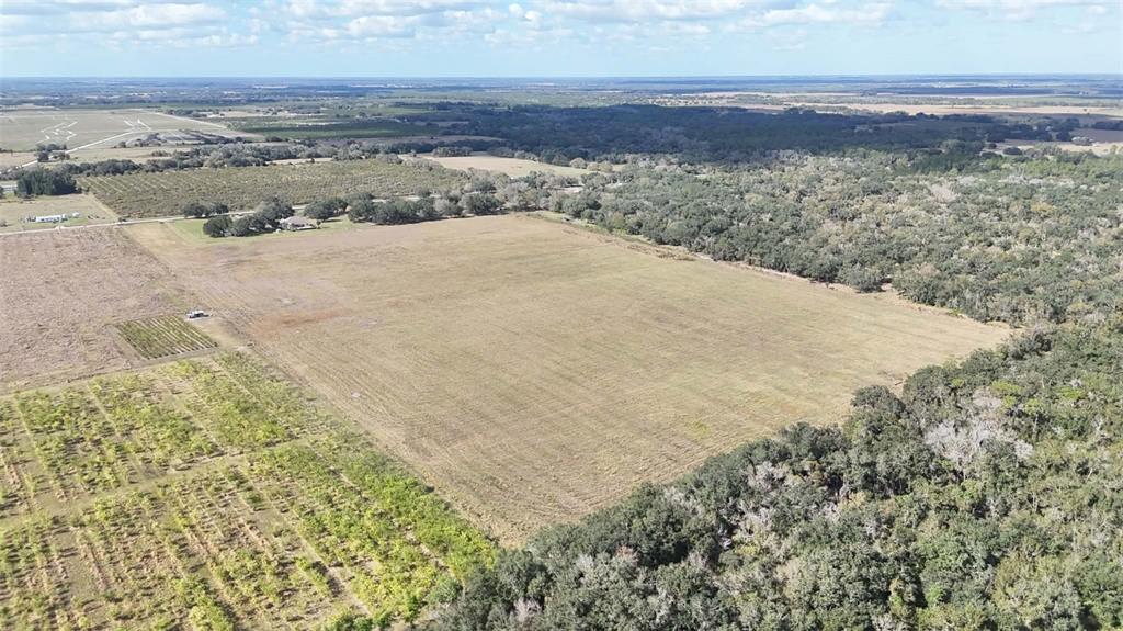 7053 George Marsh Road Zolfo Springs, FL 33890 - Photo 58 of 84