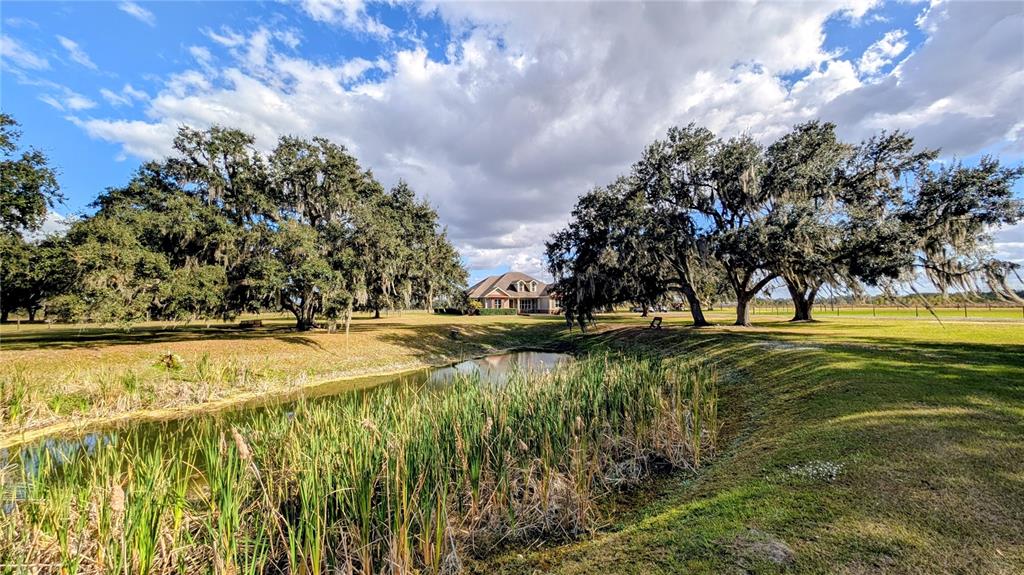 7053 George Marsh Road Zolfo Springs, FL 33890 - Photo 6 of 84 a view of swimming pool with an outdoor space and seating area